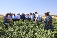 Atalar, Çiftçilerin Sorunlarını Dinledi