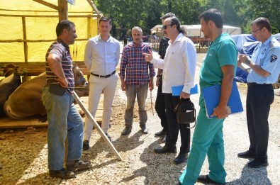 Belediyeden Kurban Pazarına Ücretsiz Ulaşım