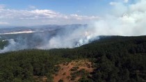 BURSA VALISI - Bursa'da orman yangını