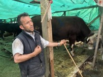 Çorlu Kurban Pazarının Paşası 25 Bin TL'ye Satıldı