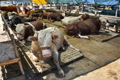 E-Ticarette 'Bayram' Bereketi