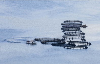 Kapıkaya Fest 2019 Fotoğraf Yarışması Sonuçlandı