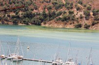 FETHIYE BELEDIYESI - Karaca; 'Körfezdeki Sorunu El Birliğiyle Çözmeliyiz'