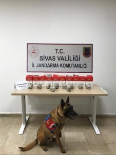Sivas'ta 3 Kilo 740 Gram Esrar Ele Geçirildi