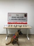 Sivas'ta 3 Kilo 740 Gram Esrar Ele Geçirildi