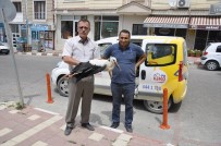 Tesadüf Eseri Bulundu