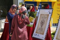 BALCı - Tokat'ın Yazma Motifleri Posta Pulu Oldu