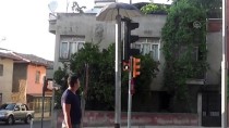 Trafik Işıklarına Yuva Yapan Kumruya Şemsiyeli Koruma Haberi