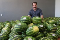 ŞAHIT - VOTAŞ Ürünleri Satışta