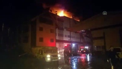 Zonguldak'ta Fındık Fabrikasında Yangın