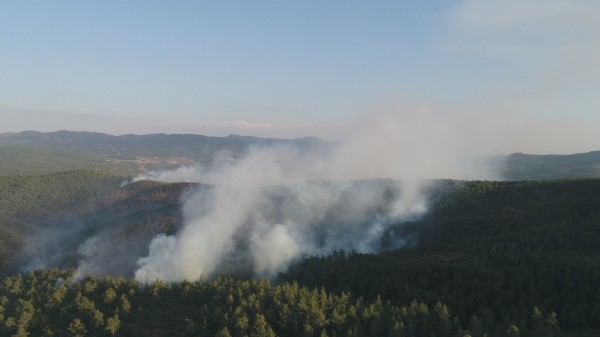 Bursa Valisi Canbolat: Şüphelerimiz var