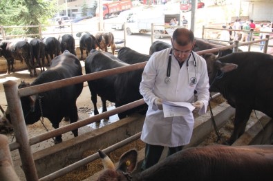 Altındağ'da Alınan Kurbanlıkların Sorgulaması Cep Telefonlarıyla Yapılabilecek