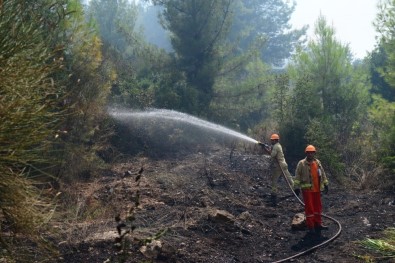 Antalya'da Orman Yangını, 1 Hektar Orman Zarar Gördü
