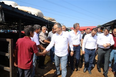 Büyükşehirden Kurban Bayramı'nda Çevre Hassasiyeti