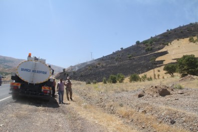 Elazığ'da  Orman Yangını