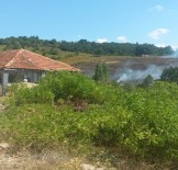 ORMANA - Gemlik'te Yangın Büyük Ormana Ulaşmadan Söndürüldü