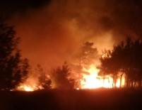 GÖLBAŞI - Gölbaşı'nda Ormanlık Alan Yandı