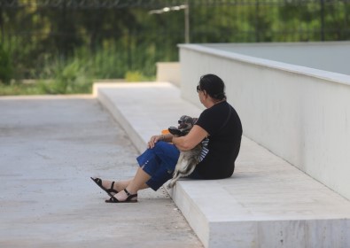 Milli Antrenör Özdiyar'ı Köpeği Yalnız Bırakmadı