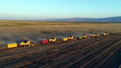 Muş'ta Hububat Hasadından 534 Milyon Liralık Gelir Beklentisi