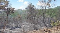 Mustafakemalpaşa'da Orman Yangını Büyümeden Söndürüldü