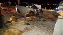 KıLBASAN - Otomobil Koyun Sürüsüne Daldı, 15 Koyun Telef Oldu