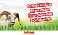 HALKLA İLIŞKILER - Özhan'da Kurbanlık Satışları Başladı