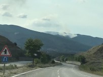 Sinop'ta Orman Yangını Devam Ediyor