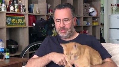 Yabancıların Gözüyle Türkiye - Türkiye Fransız Gelinin Evi Oldu