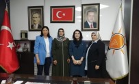 İSTİFA - Zeytun Şener Kadın Kolları Başkanlığına Getirildi