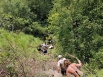 SAĞLIK EKİBİ - 1 Turistin Öldüğü, 10 Turistin Yaralandığı Kazanın Sürücüsü Tutuklandı