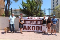 KAMU YARARı - Antalya'da Hayvanseverlerden Mezarlık Talebi