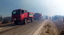 MAKİLİK ALAN - Çanakkale'de Makilik Alanda Çıkan Yangın Söndürüldü