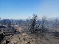 MAKİLİK ALAN - Çanakkale'de Makilik Yangını