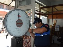 FINDIK HASADI - Hasat Öncesi Tüccarlara Denetim