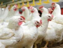 OBEZİTE - Kanser riskini azaltıyor