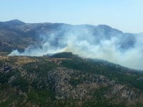ULUPıNAR - Mersin'de Orman Yangını