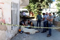 KıŞLA - Ölüm Sokakta Yakaladı