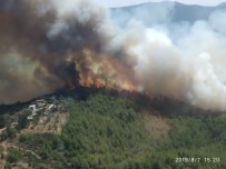 Orman Genel Müdürlüğünden 'Bodrum Yangını' Açıklaması
