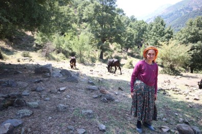 (Özel) Çaresizliğin Yüzü Olan Sabiha Nine Kurbanlık Satacak