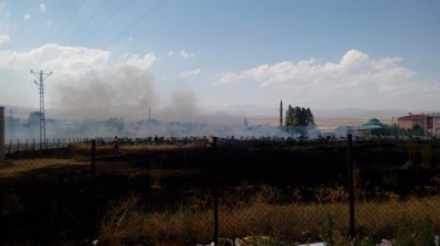 Saray İlçesinde Mezarlık Yangını