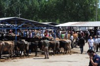 KARACAHISAR - Simav'da Kurban Pazarı Açıldı