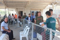 KıZAMıKÇıK - Suriyeliler Bayramlaşmak İçin Ülkelerine Gidiyor