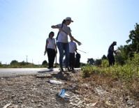 Tomalar Mahallesi'nde Temizlik