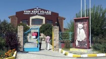 GIDA TAKVİYESİ - Van'ın 'Nazlı' Kedisi 10 Yavru Doğurdu