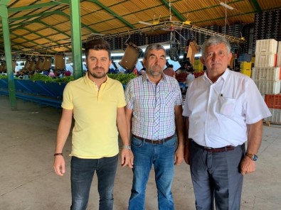 Yenişehir'den Avrupa'ya Yılda 800 TIR Biber İhraç Ediliyor