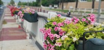 SARMAŞıK - Antalya Çiçeklerle Donatıldı