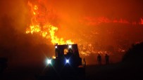 TAŞAĞıL - Antalya'da Korkutan Orman Yangını Kontrol Altına Alındı