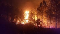 TAŞAĞıL - Antalya'da Orman Yangını