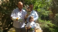 YIRTICI KUŞ - Belediye İşçisi Ölmek Üzereyken Kurtardığı Kerkenek Kuşunu 25 Günde İyileştirdi