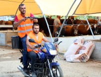 TATBIKAT - 'Boğa Yakalama Timi' Kurbana Hazır